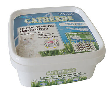 Muzo - Herbe Catherbe Fraîche Dépurative pour Chat