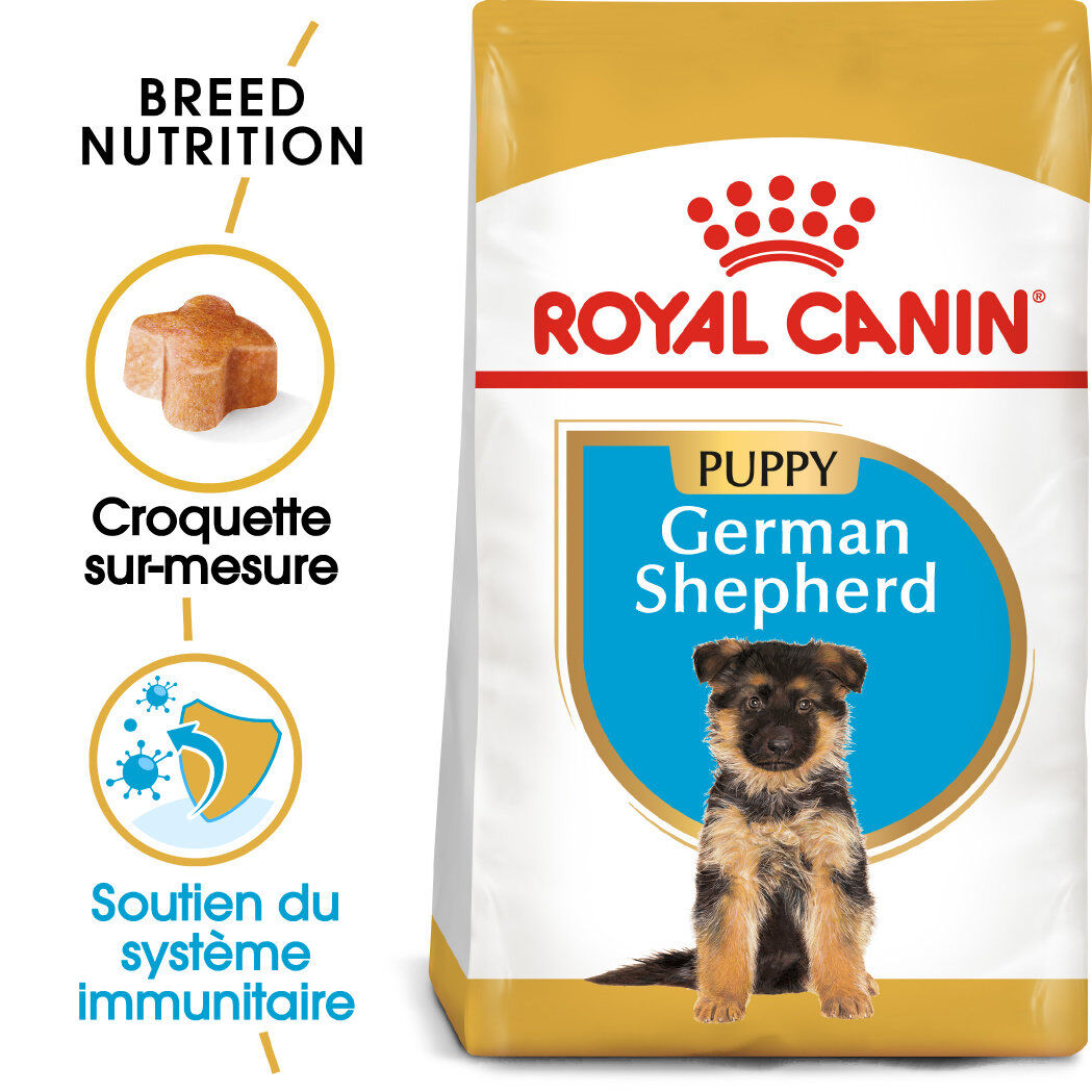 Royal Canin - Croquettes Puppy German Shepherd Chiot jusqu'&agrave; 15 mois - 3 Kg Image num&eacute;ro 1