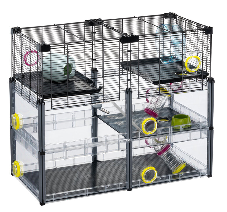 Ferplast - Cage Multipla Crystal pour Hamster et Souris - Noir Image numéro 7 Ferplast - Cage Multipla Crystal pour Hamster et Souris - Noir Image numéro 7