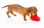 FuzzYard - Jouet Peluche Plush Toy French Fries Frites pour Chien Indicateur image numéro 2