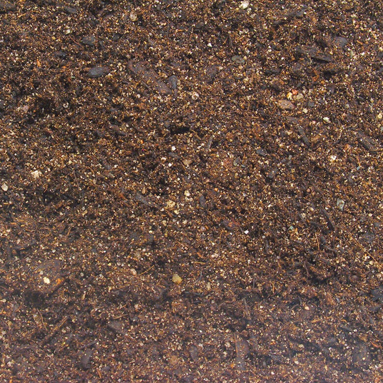 JBL - Substrat TerraBasis pour Terrarium - 5L Image numéro 2 JBL - Substrat TerraBasis pour Terrarium - 5L Image numéro 2