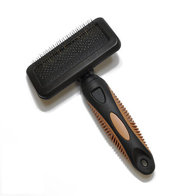 Beauty - Brosse Carde pour Chien - S