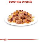 Royal Canin - Sachets Sterilised en Gelée pour Chat - 12x85g image number null
