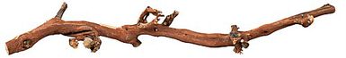 Trixie - Branche Pied de Vigne Naturelle pour Terrarium - L