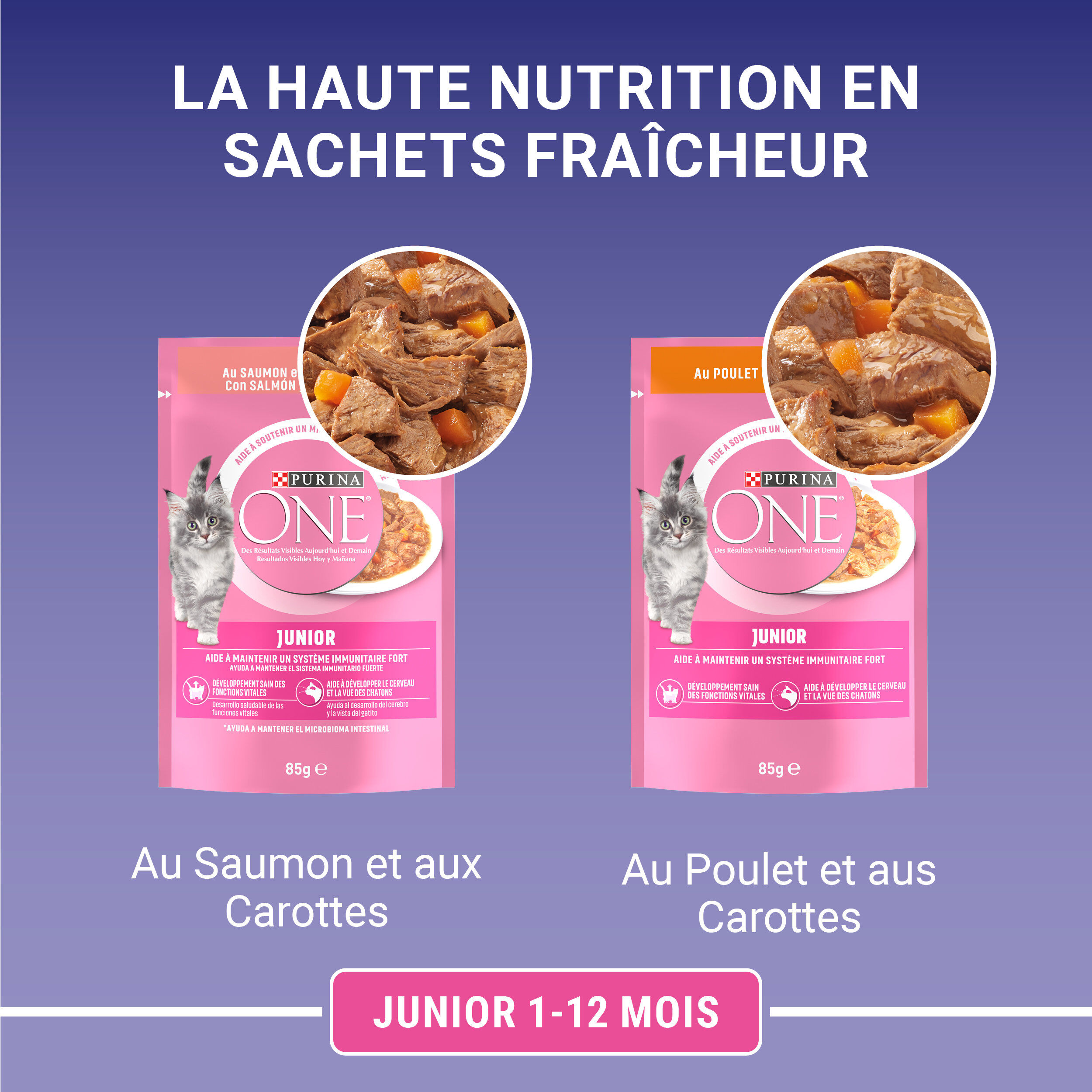 PURINA ONE - Sachets Fra&icirc;cheurs en Sauce Saumon et Poulet pour Chatons - 8x85g Image num&eacute;ro 7
