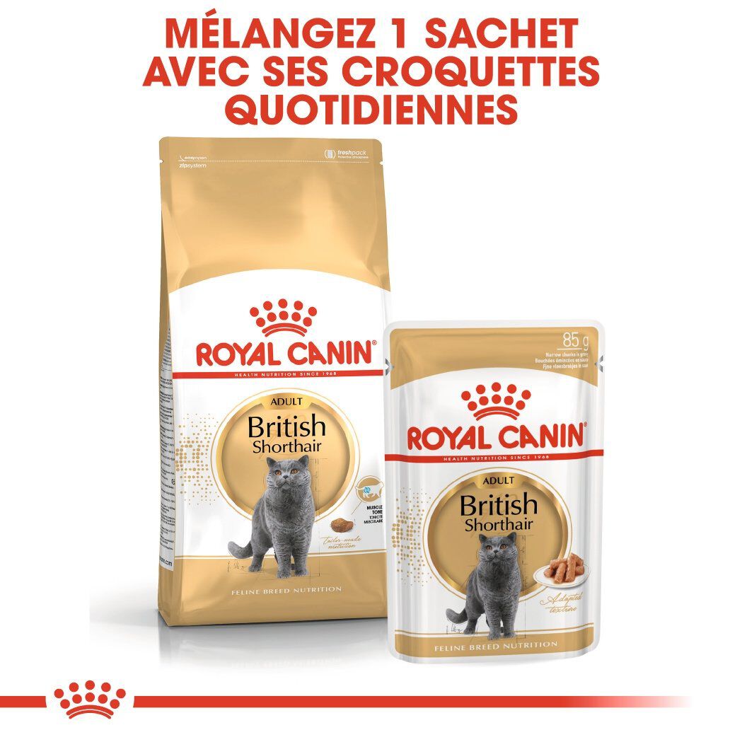 Royal Canin - Croquettes British Shorthair pour Chat Adulte - 2Kg Image num&eacute;ro 6