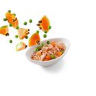 Schesir - Repas Salade Pokè au Thon Papaye et Petits pois pour Chat - 85g image number null