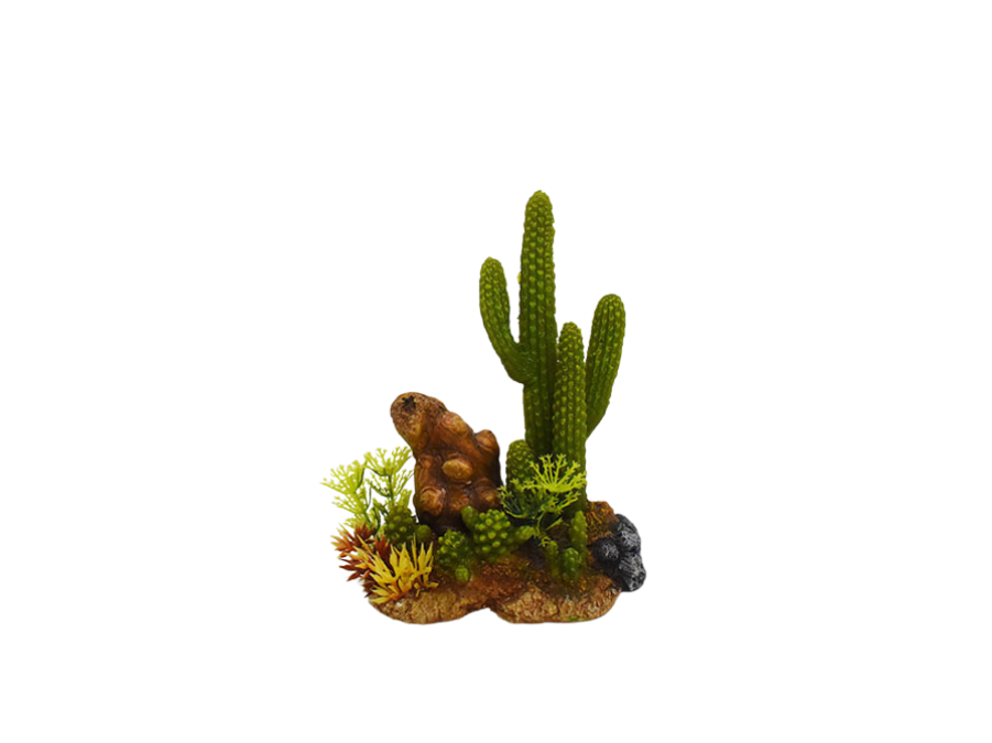 Amtra - D&eacute;coration Mexico Cactus 7 pour Aquarium Image num&eacute;ro 1