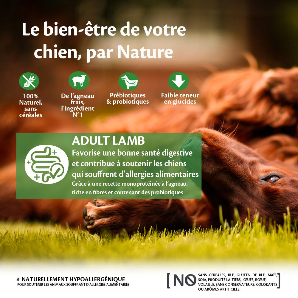 Wellness CORE - Croquettes &agrave; l'Agneau pour Chien de Toutes Races - 1,8Kg Image num&eacute;ro 2