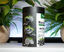 Eublepharis - Gousses Naturelles Bio-Active Tropical Kit - x40 Indicateur image numéro 3