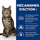 Hill's - Croquettes Prescription Diet Metabolic pour Chats - 3Kg image number null