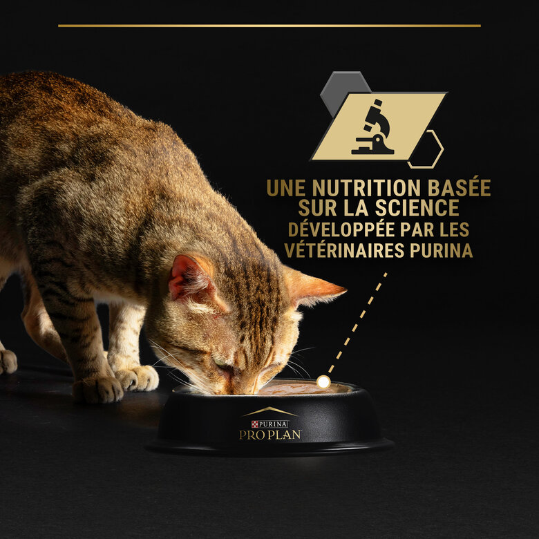 Pro Plan - Pâtée Adult 7+ pour Chat Adulte - 85g Image numéro 8 Pro Plan - Pâtée Adult 7+ pour Chat Adulte - 85g Image numéro 8