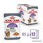 Royal Canin - Sachets Appetite Control Care en Gelée pour Chat - 12x85g Indicateur image numéro 10