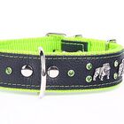 Yogipet - Collier Bulldog Cuir Crystal T65 48/58cm pour Chien - Vert image number null