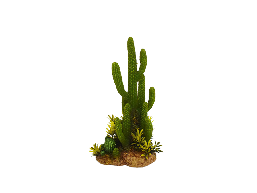 Amtra - D&eacute;coration Mexico Cactus 9 pour Aquarium Image num&eacute;ro 1