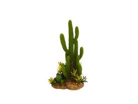 Amtra - D&eacute;coration Mexico Cactus 9 pour Aquarium