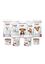 Canichef BIO - Croquettes BIO pour Chien Senior - 2Kg Indicateur image numéro 3