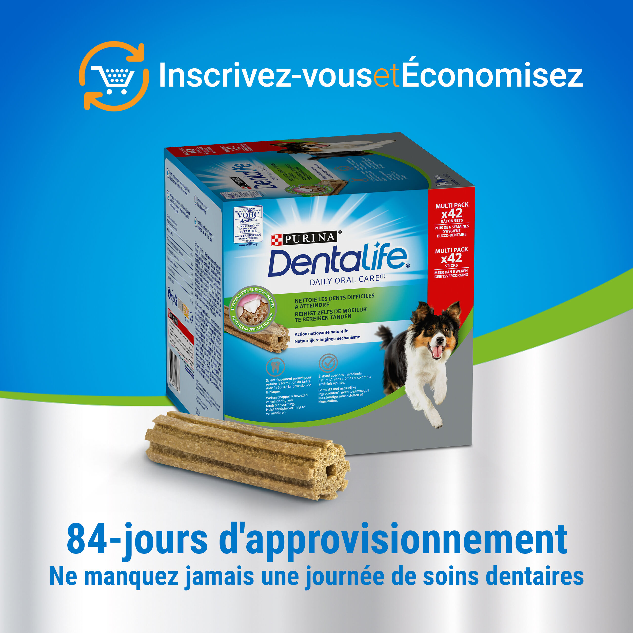 Dentalife - Multipack B&acirc;tonnets &agrave; M&acirc;cher Hygi&egrave;ne Bucco-dentaire pour Chiens - Medium/x 84 Image num&eacute;ro 3