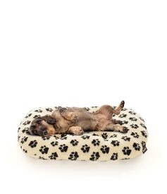 Leeby - Coussin Imprimé Pattes pour Chiens
