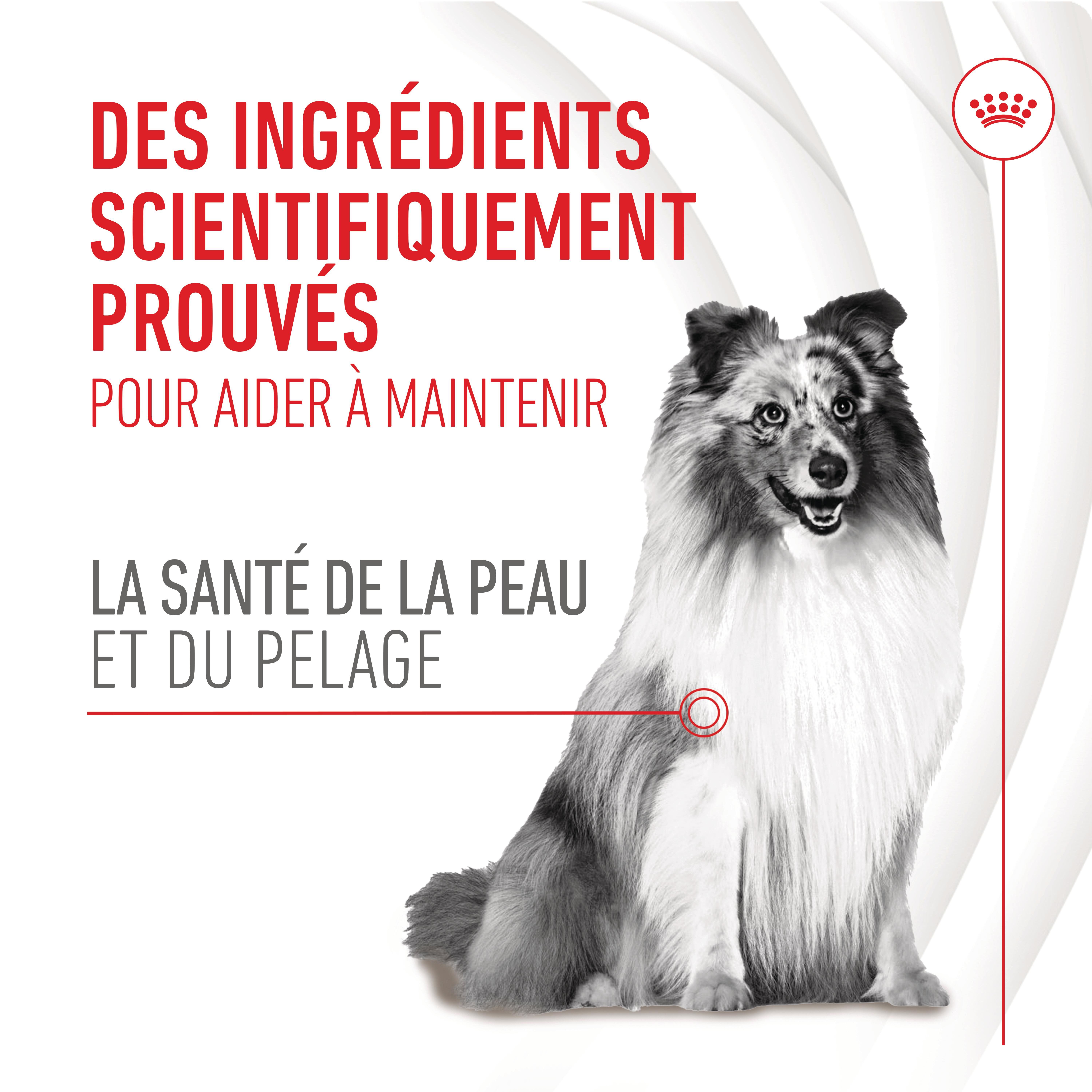 Royal Canin - Aliment Compl&eacute;mentaire Adult Skin & Coat Chews pour Chiens - 240g Image num&eacute;ro 10