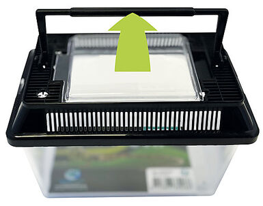Repto - Box Terrarium 18 X 11 X 12cm  - Réptiles