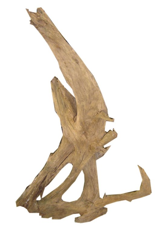 Aquavie - Décoration Racine Malaisie pour Aquarium - S/M Image numéro 1 Aquavie - Décoration Racine Malaisie pour Aquarium - S/M Image numéro 1