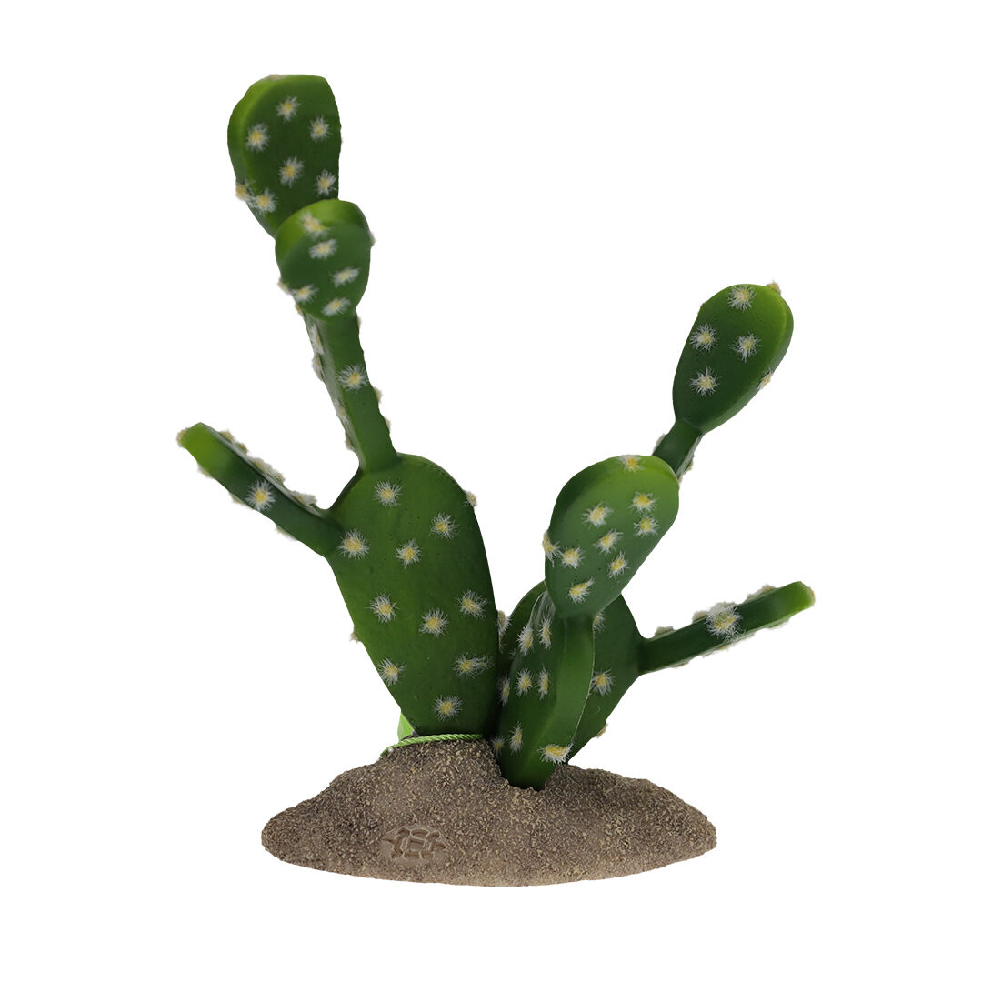 Terradella - D&eacute;coration Cactus &agrave; Figues Vert pour Terrarium - 15,5x9x16,5cm Image num&eacute;ro 1