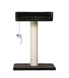 Animalis - Arbre à Chat Poteau avec Sofa - Noir