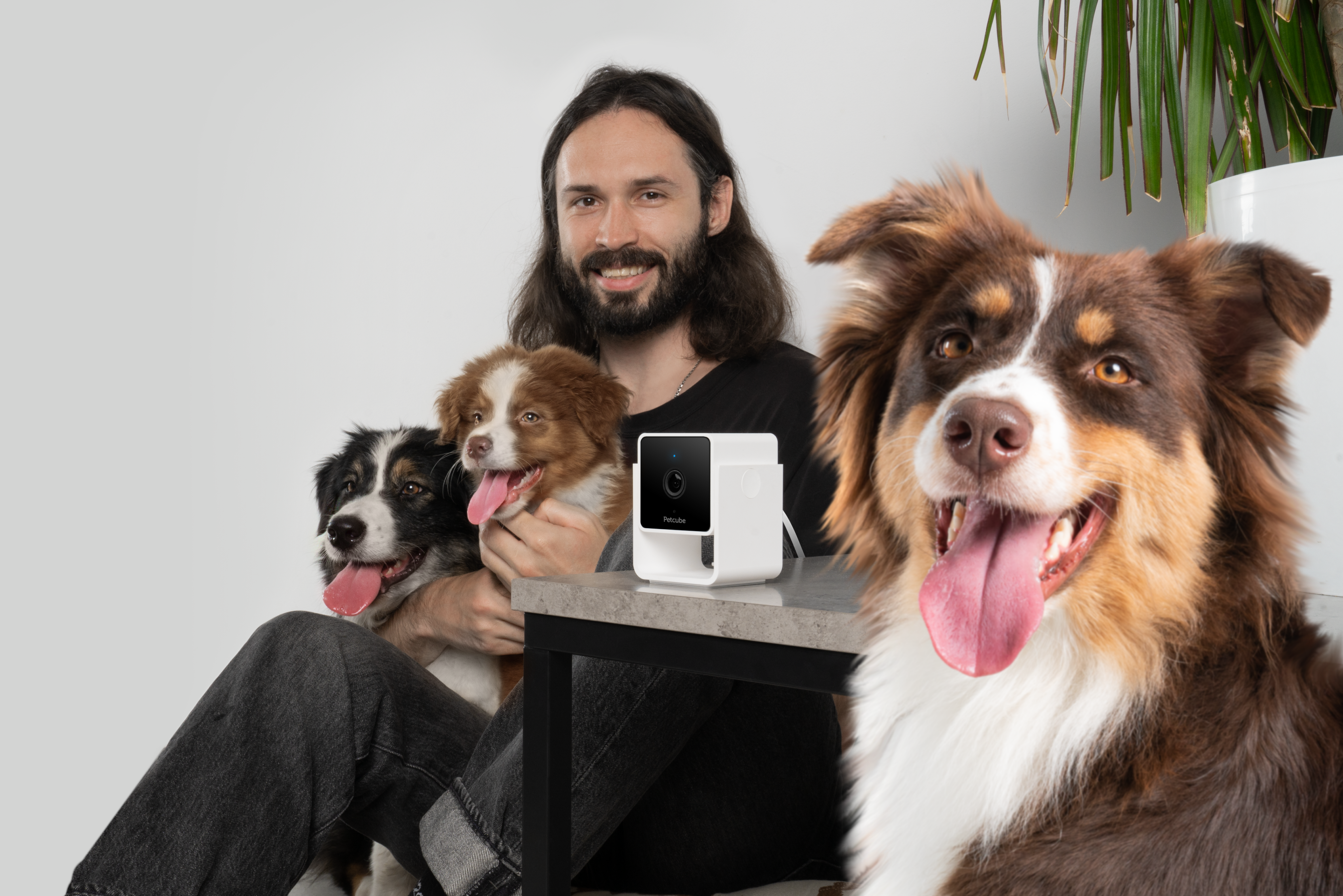 Petcube - Petcube Pet Cam pour Chiens et Chats - x1 Image num&eacute;ro 5