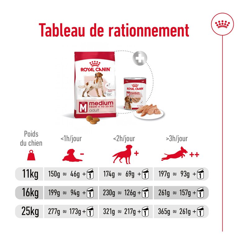 Royal Canin - Croquettes Medium Adult- 4Kg image number null