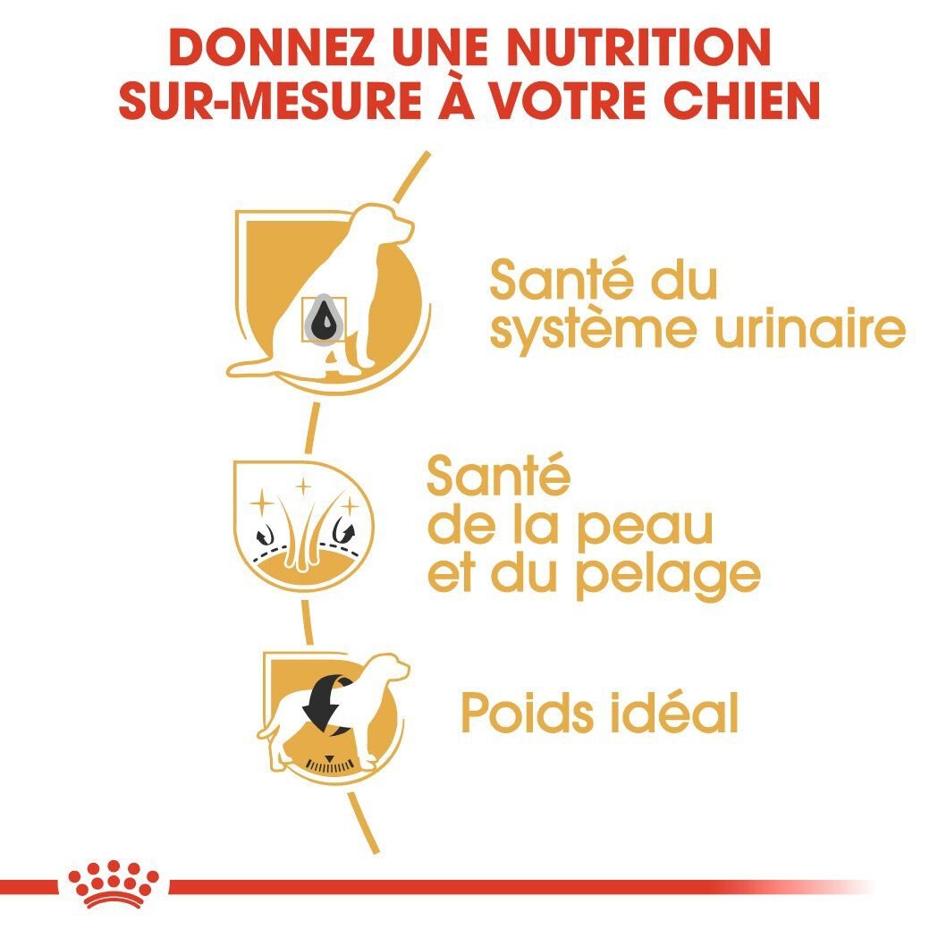 Royal Canin - Croquettes Bichon Fris&eacute; pour Chien Adulte - 1,5Kg Image num&eacute;ro 5