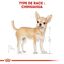 Royal Canin - Croquettes Chihuahua pour Chien Adulte - 3Kg Indicateur image numéro 2