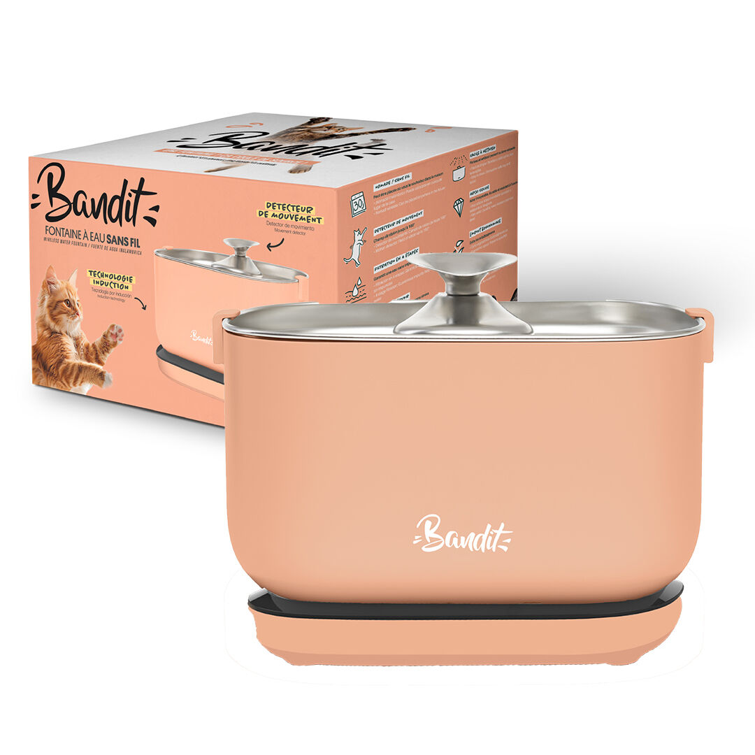 Bandit - Fontaine &agrave; Eau sans Fil 2,5L pour Chats - P&ecirc;che Image num&eacute;ro 1