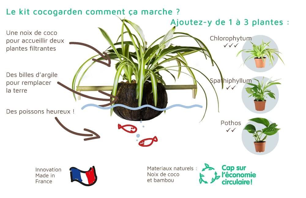 CocoPlant - Filtration Naturelle CocoGarden sans Pompe pour Aquarium Image num&eacute;ro 5