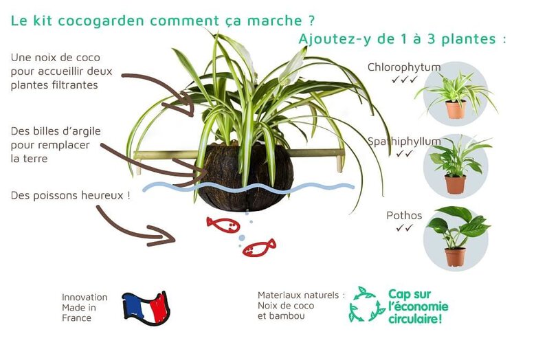 CocoPlant - Filtration Naturelle CocoGarden sans Pompe pour Aquarium Image numéro 5 CocoPlant - Filtration Naturelle CocoGarden sans Pompe pour Aquarium Image numéro 5