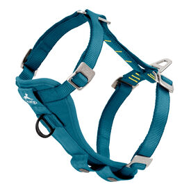 Kurgo - Harnais de Sécurité "Tru-Fit" Bleu Pour Chien