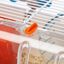 Ferplast - Cage Combi 1 pour Hamsters - 29x40x22cm Indicateur image numéro 2
