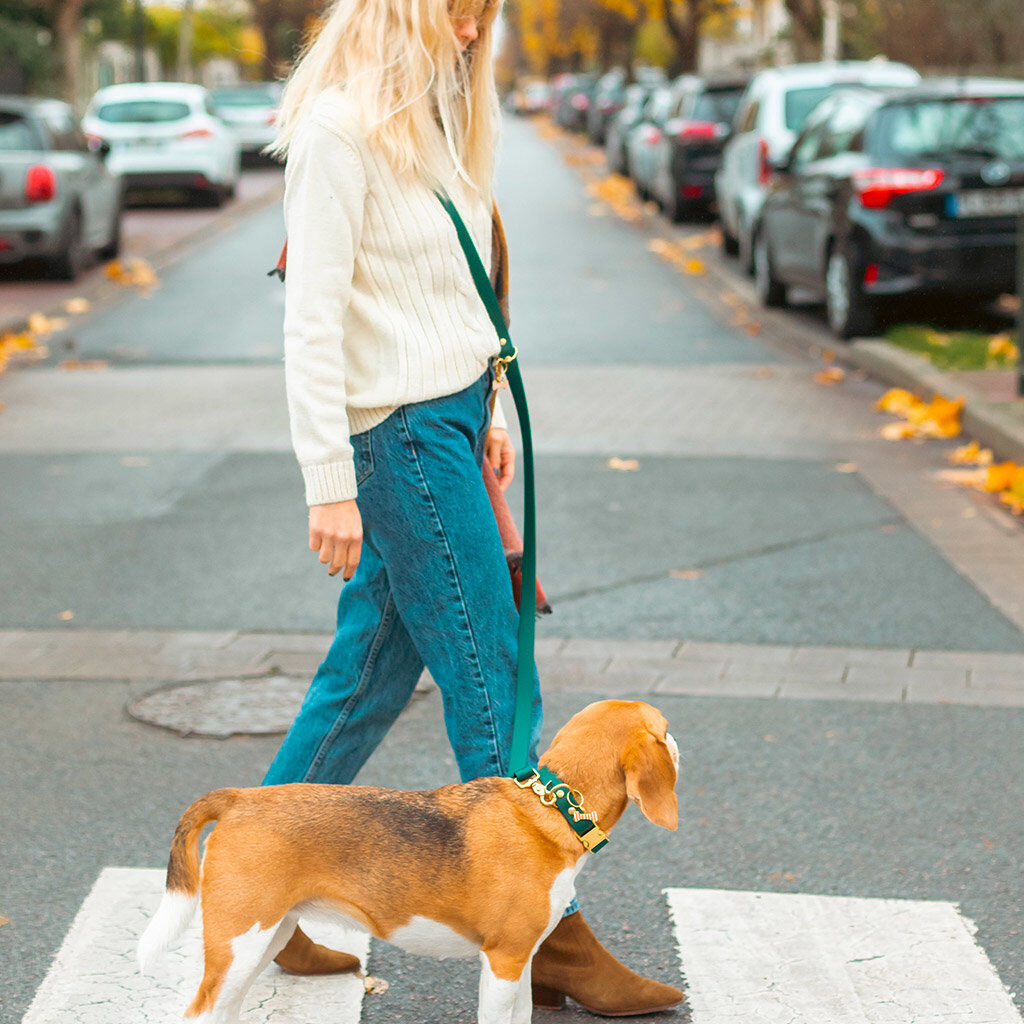 Pop Dog - Laisse Bandouli&egrave;re El&eacute;gant Vert pour Chien - XS/S Image num&eacute;ro 2