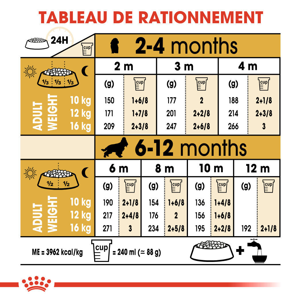 Royal Canin - Croquettes PUPPY COCKER pour Chiots - 3KG Image num&eacute;ro 7