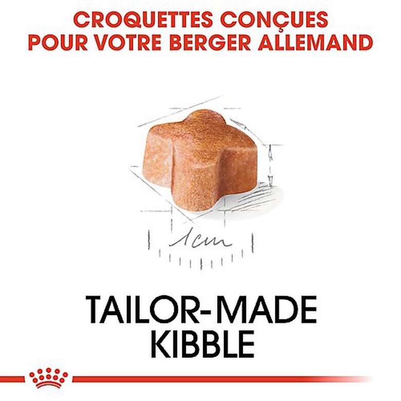 Royal Canin - Croquettes Berger Allemand Junior pour Chiot - 12Kg image number null