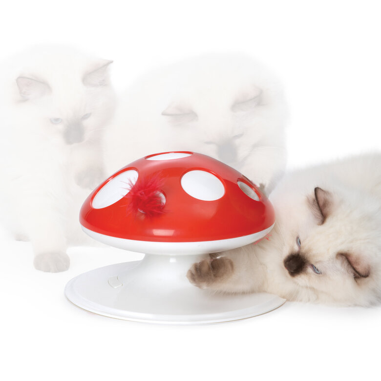 Catit - Jouet Senses 2.0 Champignon pour Chat - 24cm Image numéro 3 Catit - Jouet Senses 2.0 Champignon pour Chat - 24cm Image numéro 3