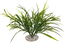 Labeo - Fond de décor - Plante Artificielle Aquarium Indicateur image numéro 3