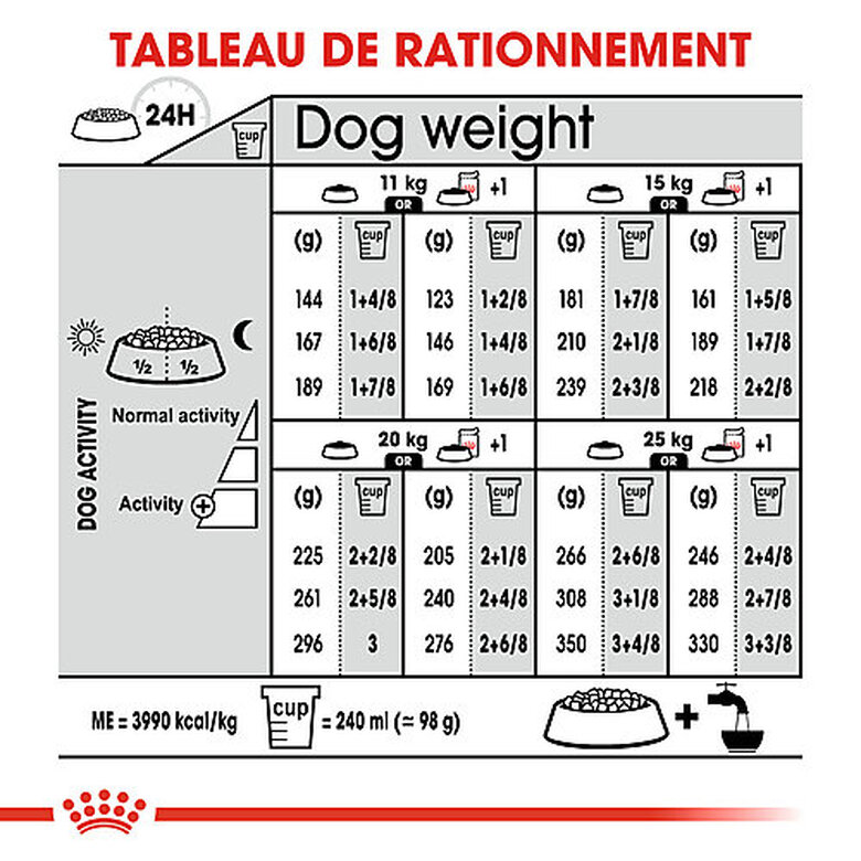 Royal Canin - Croquettes Medium Adult Digestive Care pour Chien - 12Kg image number null