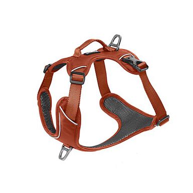Kyflie - Harnais Momentum Cuivre pour Chien - XS