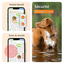 Weenect - Traceur GPS L/XL Edition 2023 pour Chiens - Noir Indicateur image numéro 5