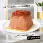 GOURMET - Repas REVELATIONS Mousseline Poulet nappée de sauce pour Chats - 4X57g image number null
