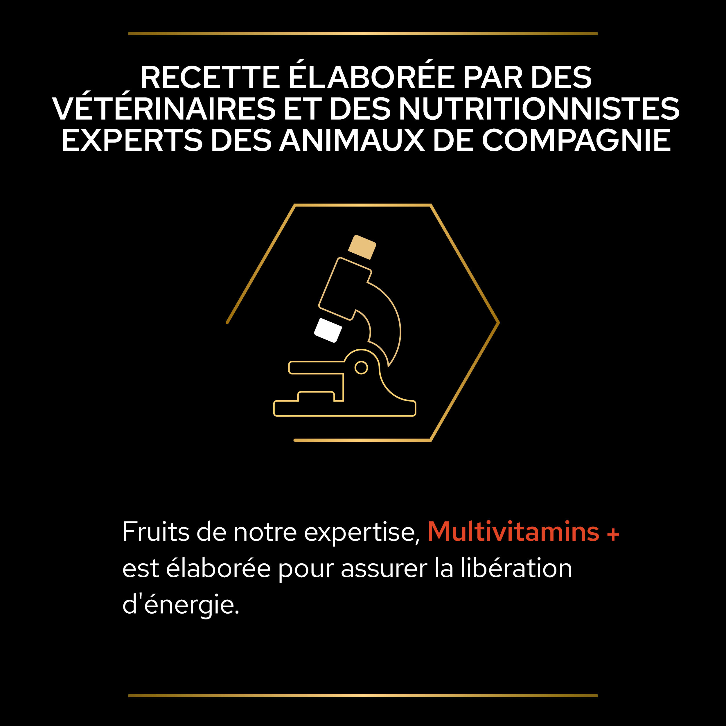 Pro Plan - Aliment Compl&eacute;mentaire en Comprim&eacute;s Multivitamins+ pour Chiens  - 67g Image num&eacute;ro 8