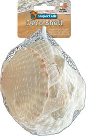 Superfish - Coquillage D&eacute;coratif P&eacute;toncle pour Aquarium -  200g