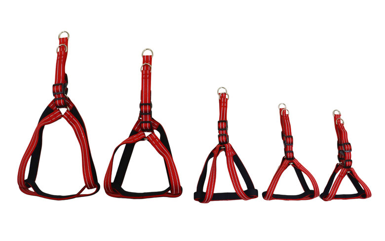 Gotoo - Harnais Essentials en Nylon Premium Rouge pour Chien - XS Image numéro 9 Gotoo - Harnais Essentials en Nylon Premium Rouge pour Chien - XS Image numéro 9
