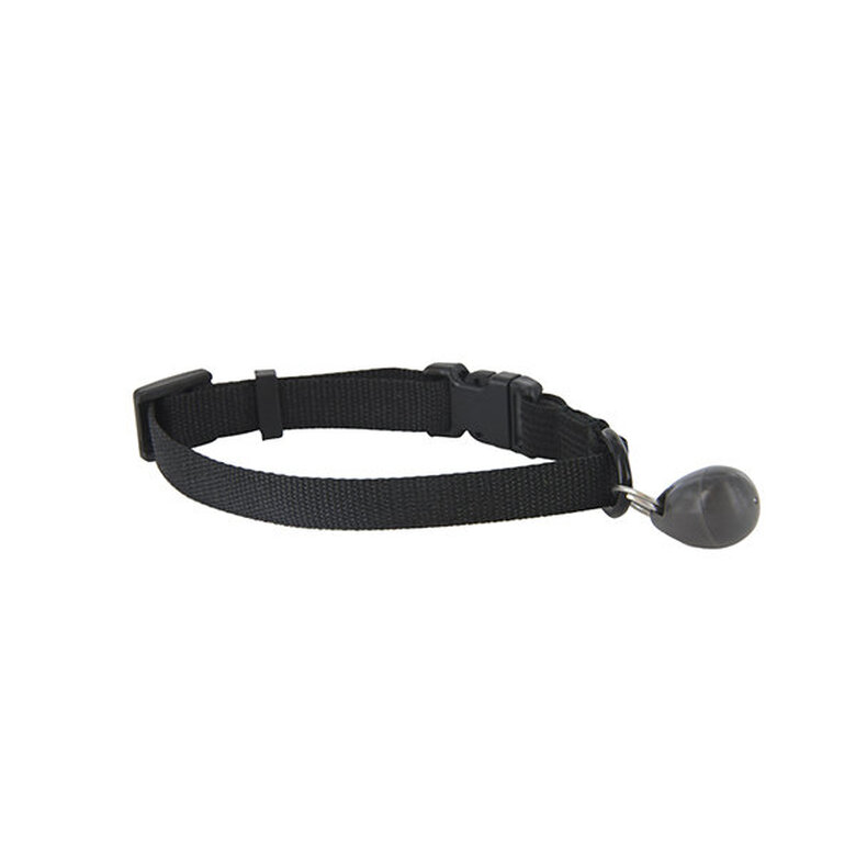 Petsafe -COLLIER + AIMANT CHATIERE MAGNETIQUE pour Chats image number null